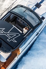 Alpine roof